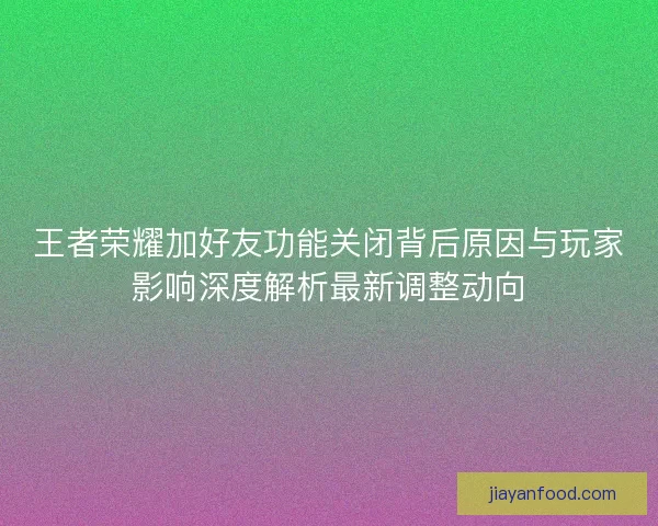 王者荣耀加好友功能关闭背后原因与玩家影响深度解析最新调整动向