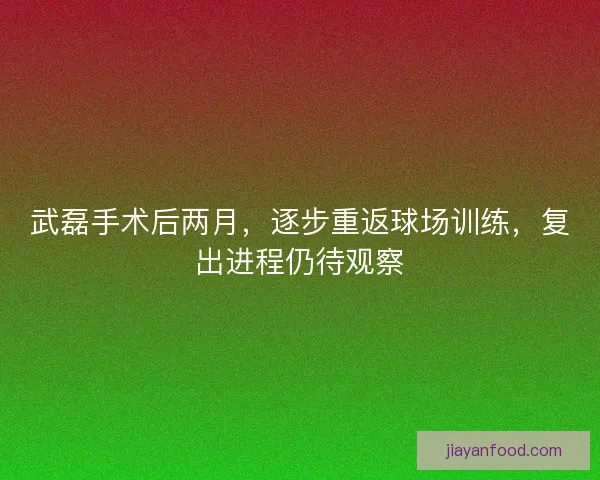 武磊手术后两月，逐步重返球场训练，复出进程仍待观察